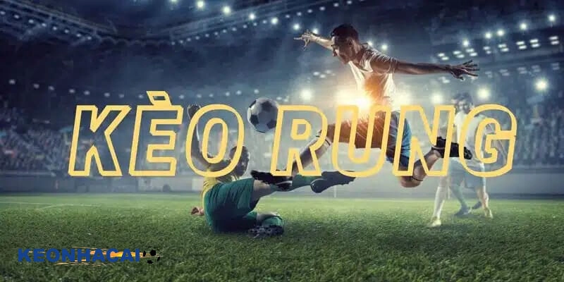 Cách Đánh Kèo Rung – Bật Mí Chiến Lược Tăng Cơ Hội Thắng Hướng dẫn cách đánh kèo rung cơ bản cho newbie