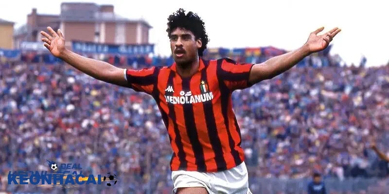 Tiểu Sử Frank Rijkaard – Huyền Thoại Sân Cỏ Và Sự Nghiệp HLV Sự nghiệp cầu thủ và tiểu sử Frank Rijkaard